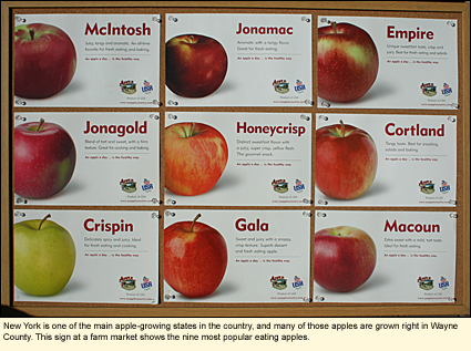 New York is one of the main apple-growing states in the country, and many of those apples are grown right in Wayne County. This sign at a farm market shows the nine most popular eating apples.