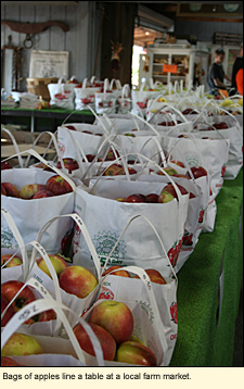 Bags of apples line a table at a local farm market in the Finger Lakes, New York, USA.