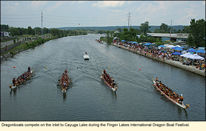 Dragonboats compete on the inlet to Cayuga Lake during the lFinger Lakes International  Dragon Boat Festival in Ithaca, New York, USA.