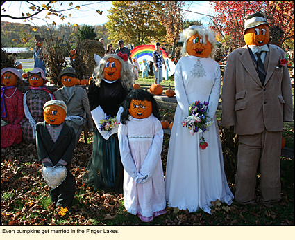 Even pumpkins get married in the Finger Lakes, New York, USA.