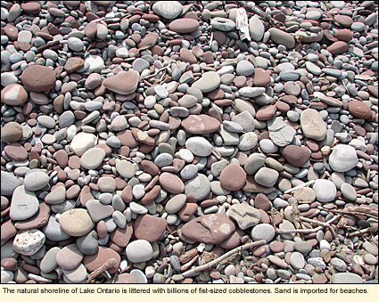 The natural shoreline of Lake Ontario in the Finger Lakes, New York, USA, is littered with billions of fist-sized cobblestones.