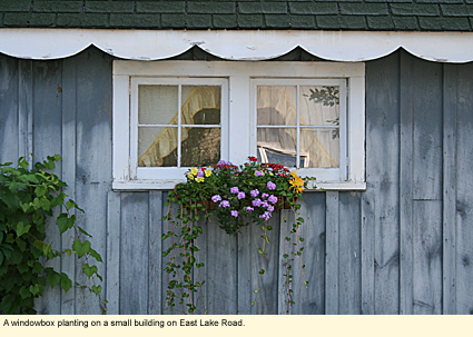 A windowbox planting on a small building on East Lake Road near Loon Lake in Wayland, New York.