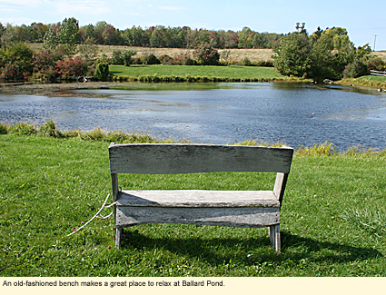 An old-fashioned bench makes a great place to relax at Ballard Pond.