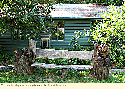 The bear bench provides a shady rest at the front of Cayuga nature Center near Ithaca, New York, USA.
