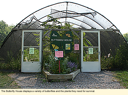 The Butterfly House displays a variety of butterflies and the plants they need for survival.