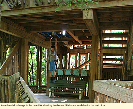 A nimble visitor hangs in the beautiful six-story treehouse. Stairs are abailable for the rest of us.