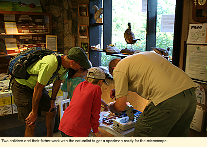 Two children and their father work with the naturalist to get a specimen ready for the microscope.