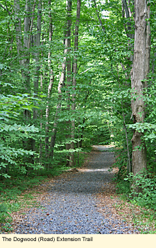 Dogwood (Road) Extension Trail at Sterling Nature Center, Sterling, New York, USA.