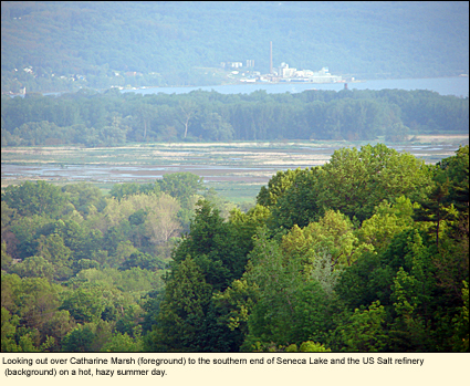 Looking out over Catharine marsh to the southern end of Seneca Lake and the US&nbsp;Salt refinery on a hot, hazy, summer day in the Finger Lakes,&nbsp;New York, USA.