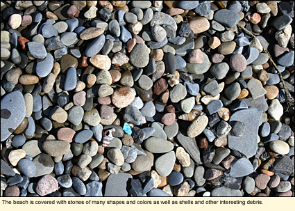 The beach at Lodi Point State Marine Park is covered with stones of many shapes and colors as well as shells and other interesting debris.