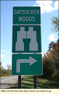 Watch for the binoculars sign to show you where to find wildlife in the Finger Lakes, New York.