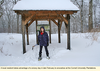 A local resident takes advantage of a snowy day in late February to snowshoe at the Cornell University Plantations in Ithaca, New York, USA.
