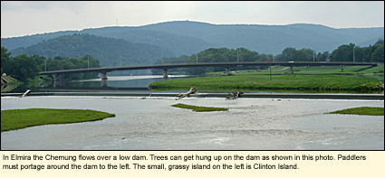 In Elmira the Chemung River flows over a low dam. Trees can get hung up on the dam as shown in this photo. Paddlers must portage around the dam to the left. The small, grassy island on the left is Clinton Island.