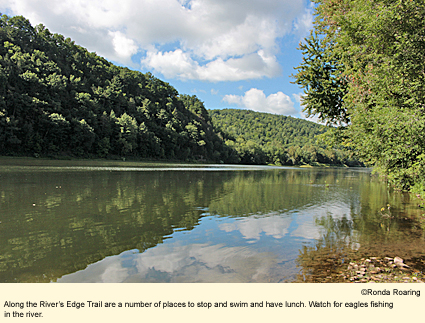 Along the River's Edge Trail are a number of places to stop and swim and have lunch. Watch for eagles fishing in the river.