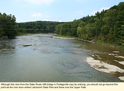 Although this view from the State Route 436 bridge in Portageville may be enticing, you should not go beyond this point as the river soon enters Letchworth State Park and flows over the Upper Falls.