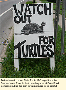 Turtles have to cross State Route 17C to get from the Susquehanna River to their breeding area at Brick Pond. Someone put up this sign, which says "Watch out for turtles" to warn drivers to be careful.