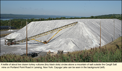 A kettle of about two dozen turkey vultures (tiny black dots) circles above a mountain of salt outside the Cargill Salt mine on Portland Point Road in Lansing, New York. Cayuga Lake can be seen in the background (left).