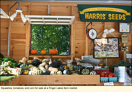 Squashes, tomatoes, and corn for sale at a Finger lakes farm market.