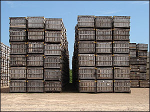 Apple crates in Wayne County, Finger Lakes, New York