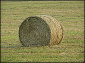 Hay bail in Schuyler County, Finger Lakes, New York