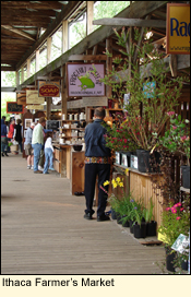 The Ithaca Farmer's Market in Ithaca, New York