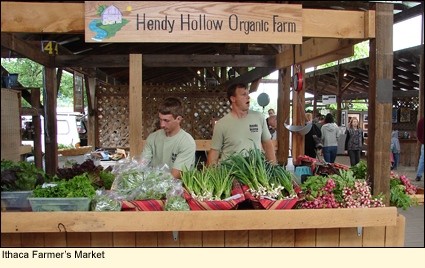 Hendy Hollow Organic Farm's stand at the Ithaca Farmer's Market, Ithaca, New York