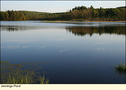 Jennings Pond in the Town of Danby, Tompkins County, New York, USA.