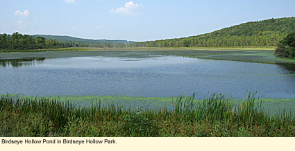 Birdseye Hollow Pond in Birdseye Hollow Park in Bradford, New York, USA.