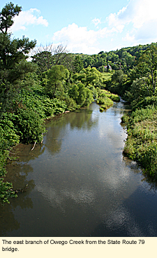 The east branch of Owego Creek from the State Route 79 bridge in Richford, New York.