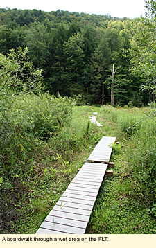 A boardwalk through a wet area on the Finger Lakes Trail.
