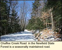 Chaffee Creek Rd. in the Newfield State Forest (Newfield, New York USA) is a seasonally maintained road.