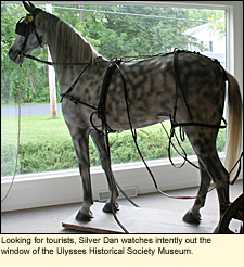 Looking for tourists, Silver Dan watches intently out the window of the Ulysses Historical Society museum in the Village of Trumansburg, New York.