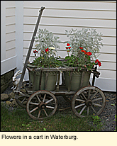 Flowers in a cart in Waterburg in the Town of Ulysses in the Finger Lakes Region in New York State.