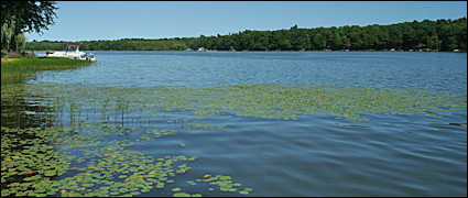 Waterlilies on Duck Lake in the Finger Lakes, New York USA.