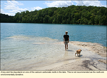 A boy and his dog stand on one of the calcium carbonate reefs in the lake. This is not recommended as the reefs are environmentally sensitive.