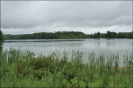Even on a rainy day Tully's Green Lake in the Finger Lakes, New York still looks inviting from the wetland on its east shore.
