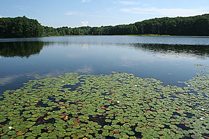 Sanford Lake in Steuben County, New York, USA.