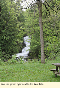 At Lake Treman, you can picnic right next to the falls.