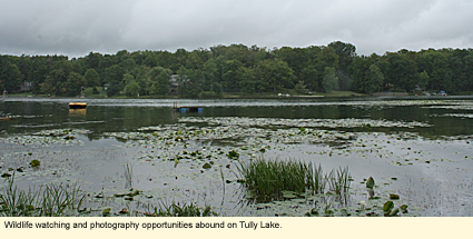 Wildlife watching and photography opportunities abound on Tully Lke.