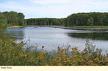 Teeter Pond in the Finger Lakes National Forest.