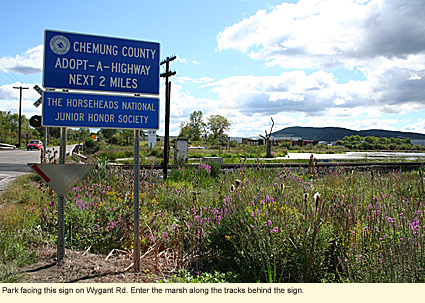 Park facing this sign on Wygant Rd. Enter the marsh along the tracks behind the sign.