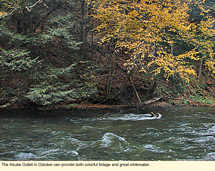 The Keuka Outlet in October provides both colorful foliage and great whitewater.