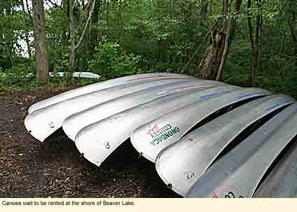 Canoes wait to be rented at the shore of Beaver Lake.