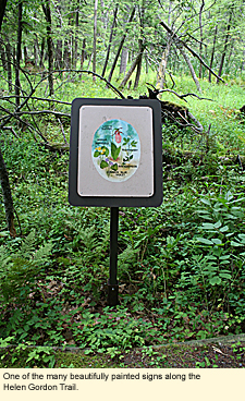 One of the many beautifully painted signs along the Helen Gordon Trail.