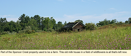 Part of the Spencer Crest Nature Center property used to be a farm. This old milk house in a field of wildflowers is all that's left of the farm now.