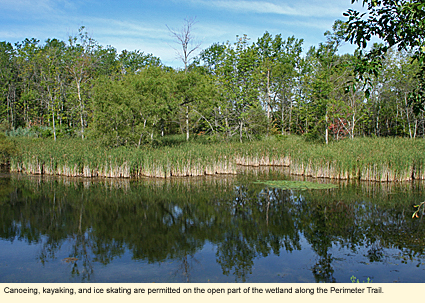 Canoeing, kayaking, and ice skating are permitted on the open part of the wetland along the Perimeter Trail.