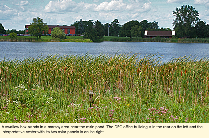 A swallow box stands in a marshy area near the main pond at Twin Cedars Environmental Area in Avon, New York, USA. The Department of Environmental Conservation office building is in the rear on the left and the interpretative center with its two solar panels is on the right.