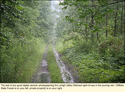 The test of any good digital camera--photographying the Lehigh Valley Railroad right-of-way (in the Finger Lakes, New York, USA) in the pouring rain. Cliffside State Fores is on your left, private property is on your right.