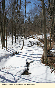 Chaffee Creek runs under the ice and snow in Newfield State Forest in the Finger Lakes, New York, USA.