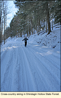 Cross-country skiing in Shindagin Hollow State Forest, Candor, New York, USA.